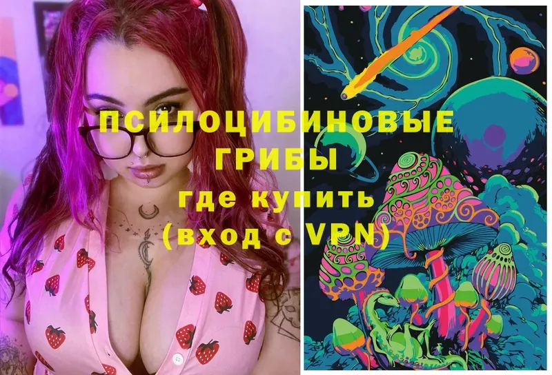 Галлюциногенные грибы GOLDEN TEACHER  где купить   Медынь 